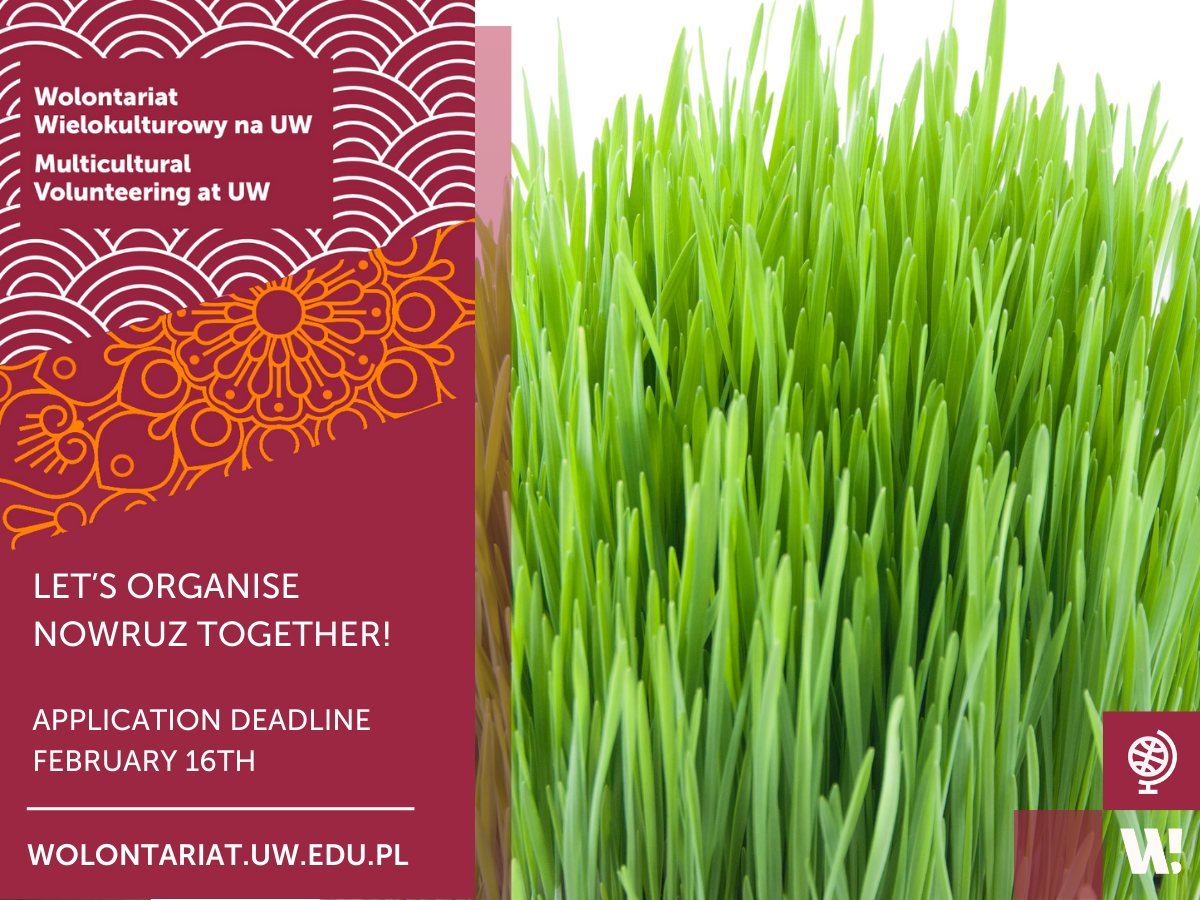 Promo graphic: Let's organise Novruz together